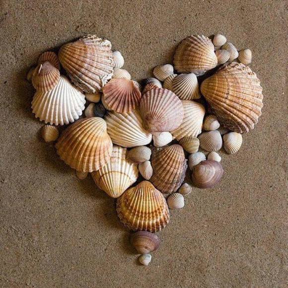 Meet your Posher, Linda - Picture 1 of 1